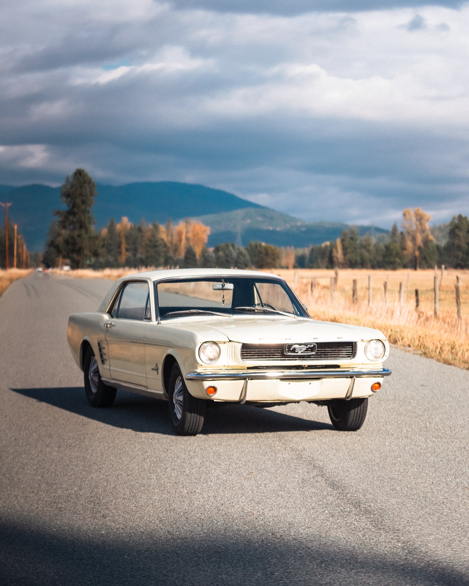 1966 Ford Mustang