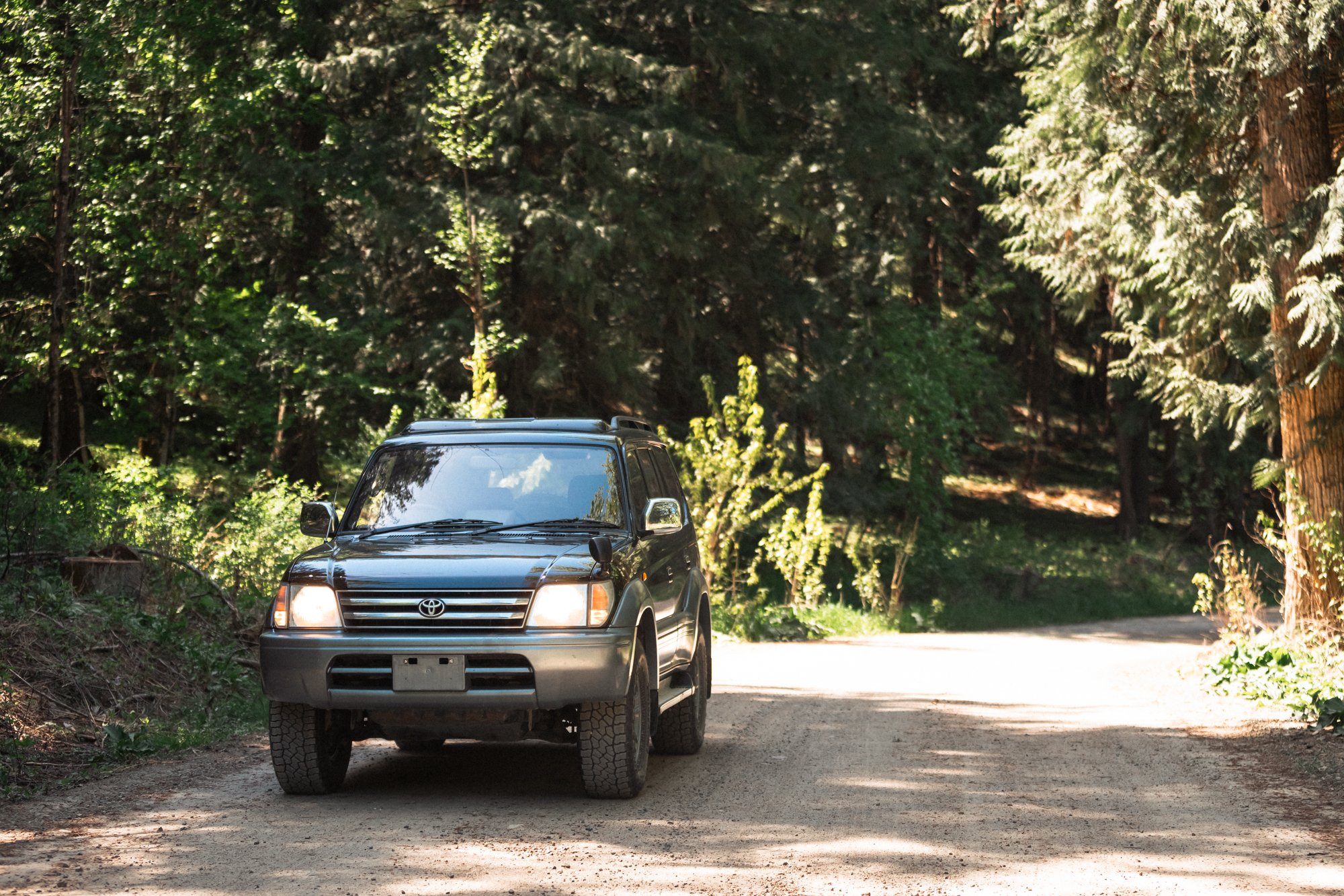 black97prado-2.jpg