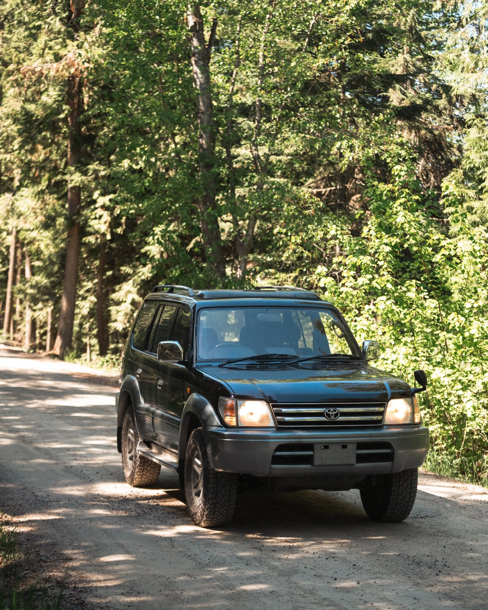 black97prado-9.jpg