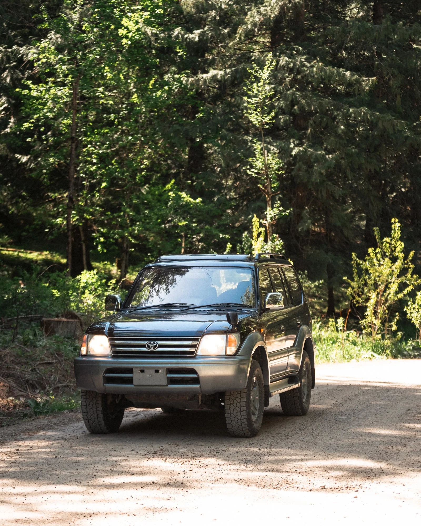 black97prado.jpg