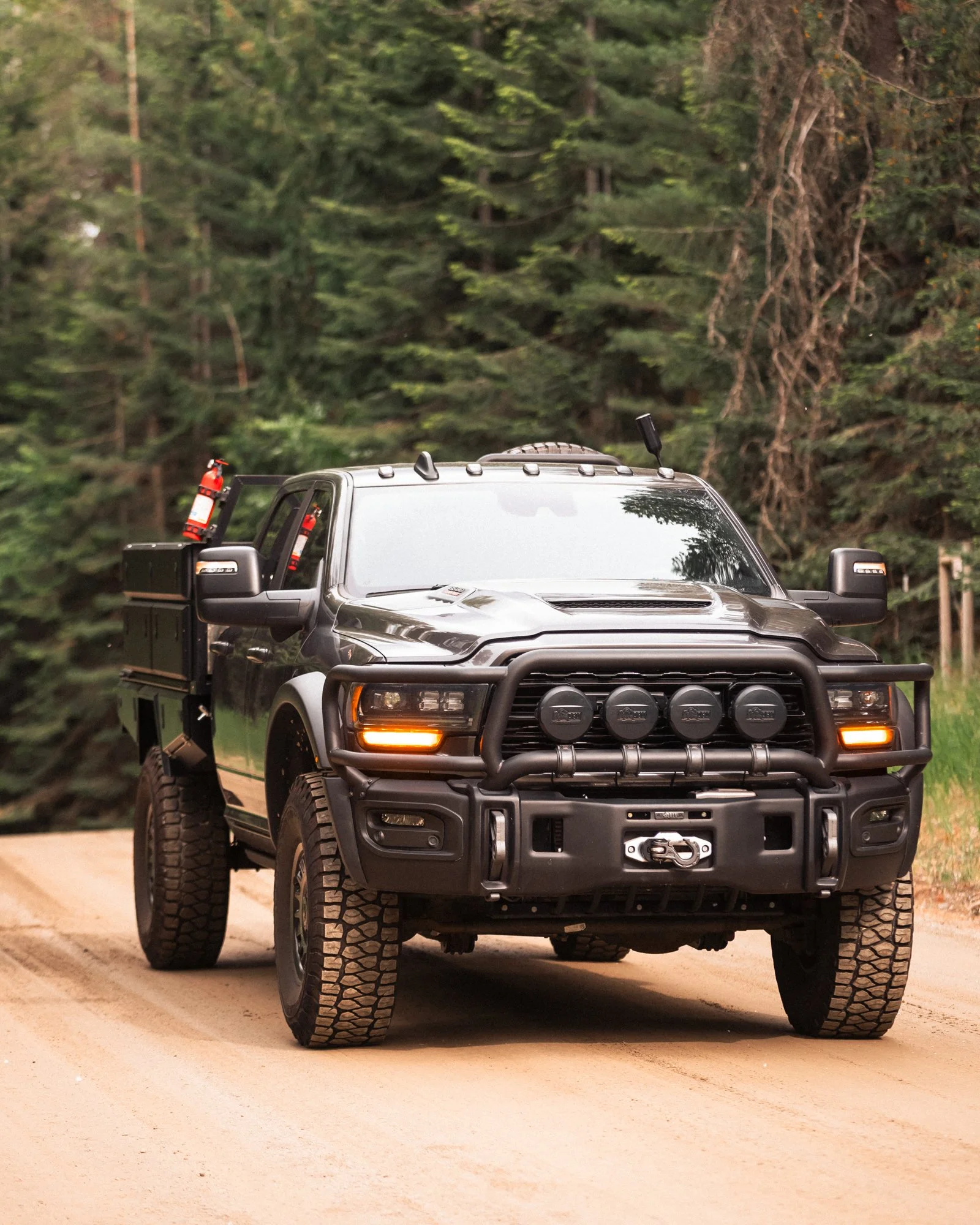 BigCummins-3.jpg