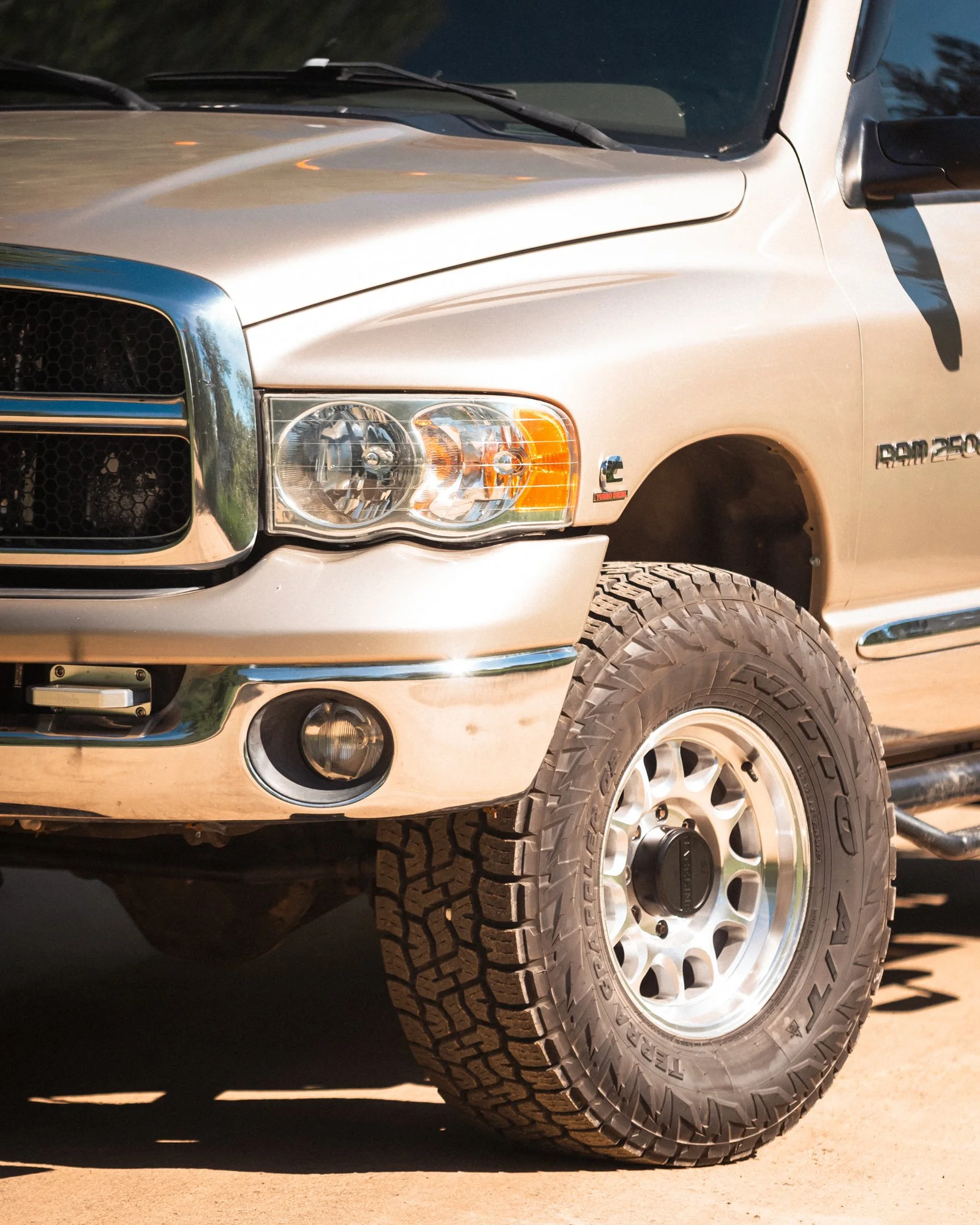 dodgesummer-18.jpg
