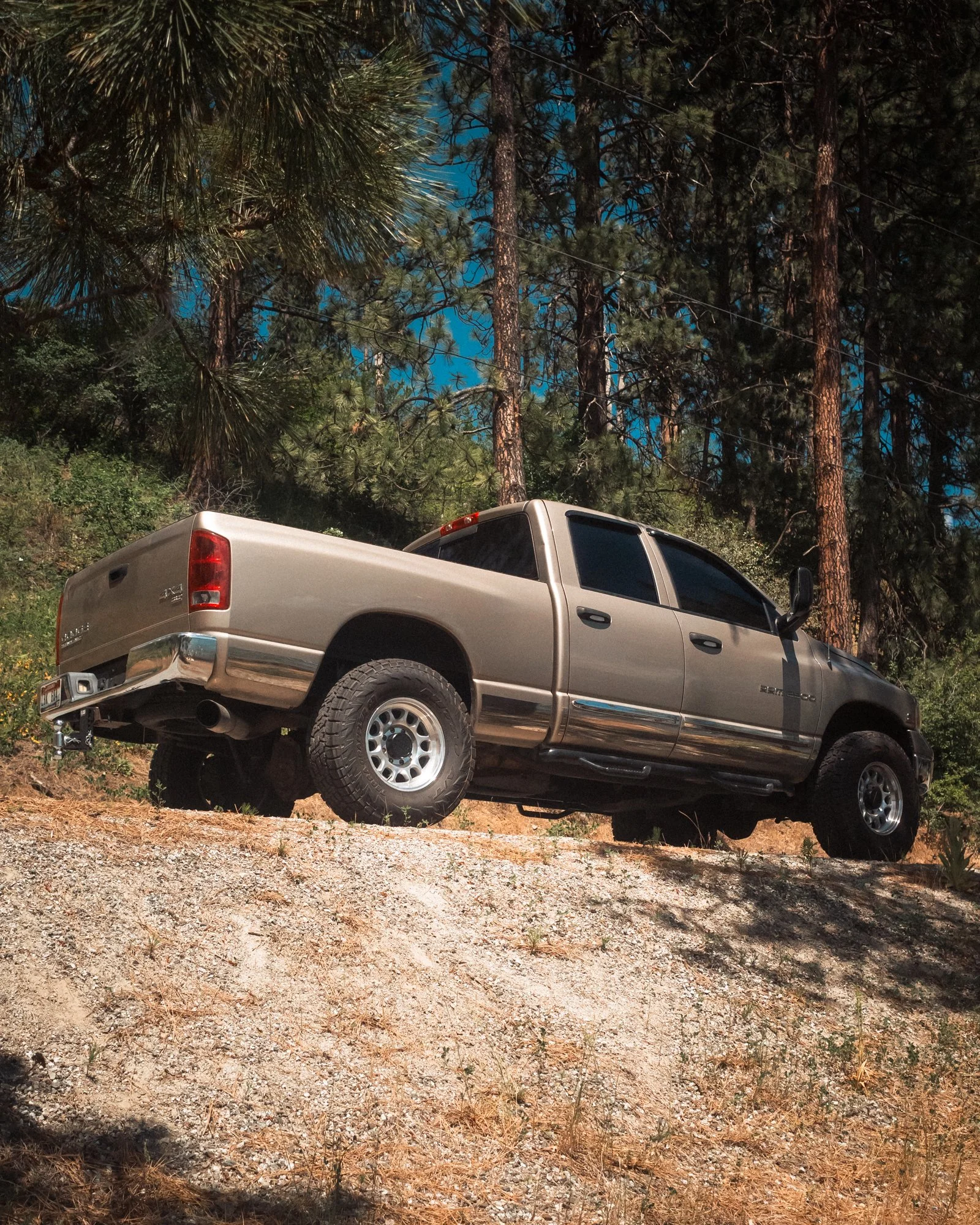 dodgesummer-4.jpg