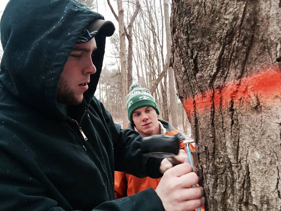 Forrest and Joe tapping a maple tree