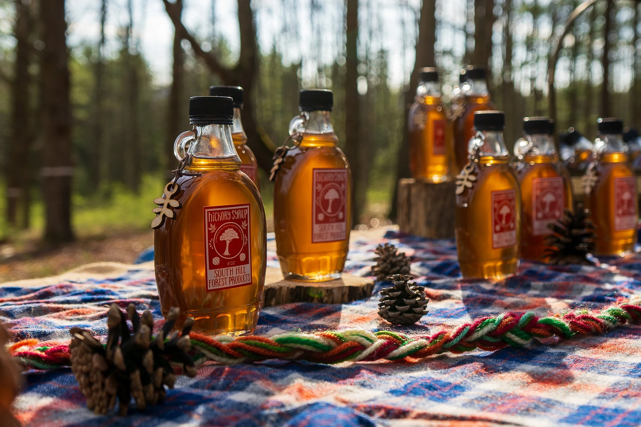 Open House-2026-MY-2.jpg