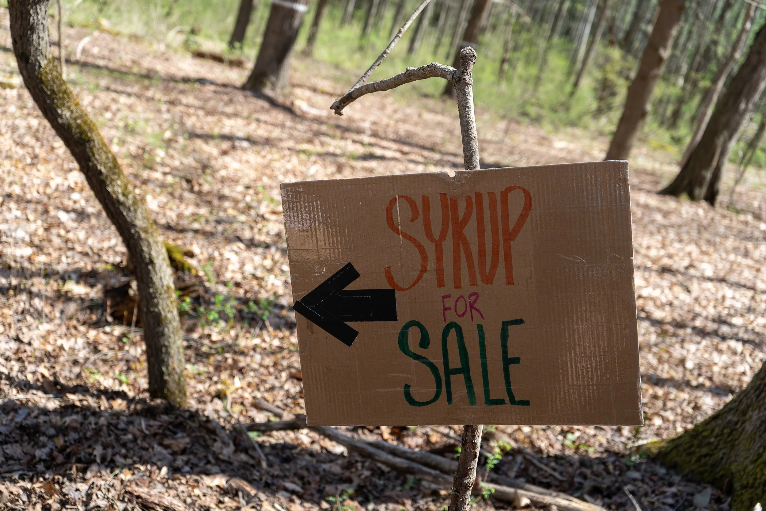 Open House-2026-MY-34.jpg