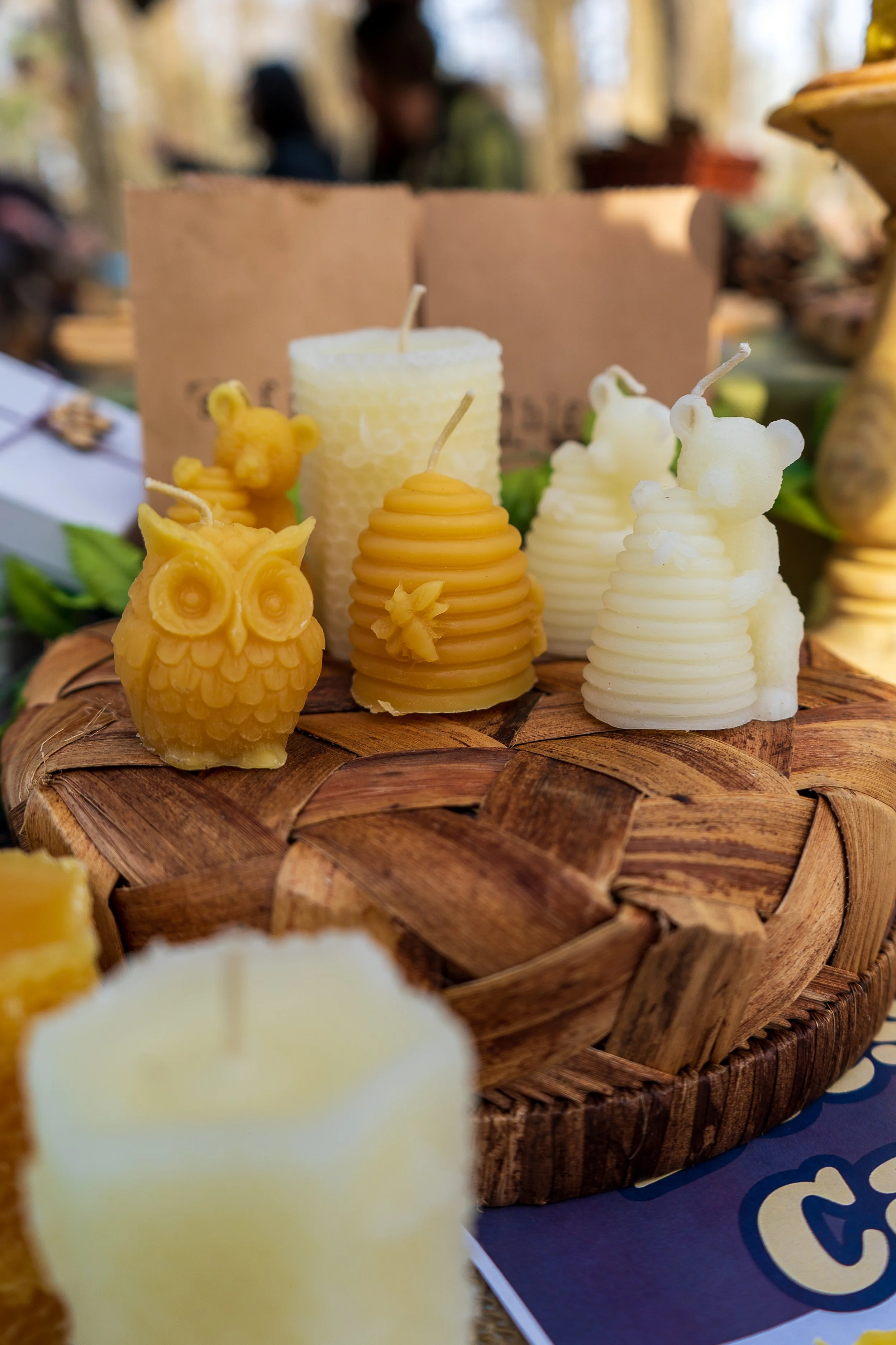 Open House-2026-MY-8.jpg