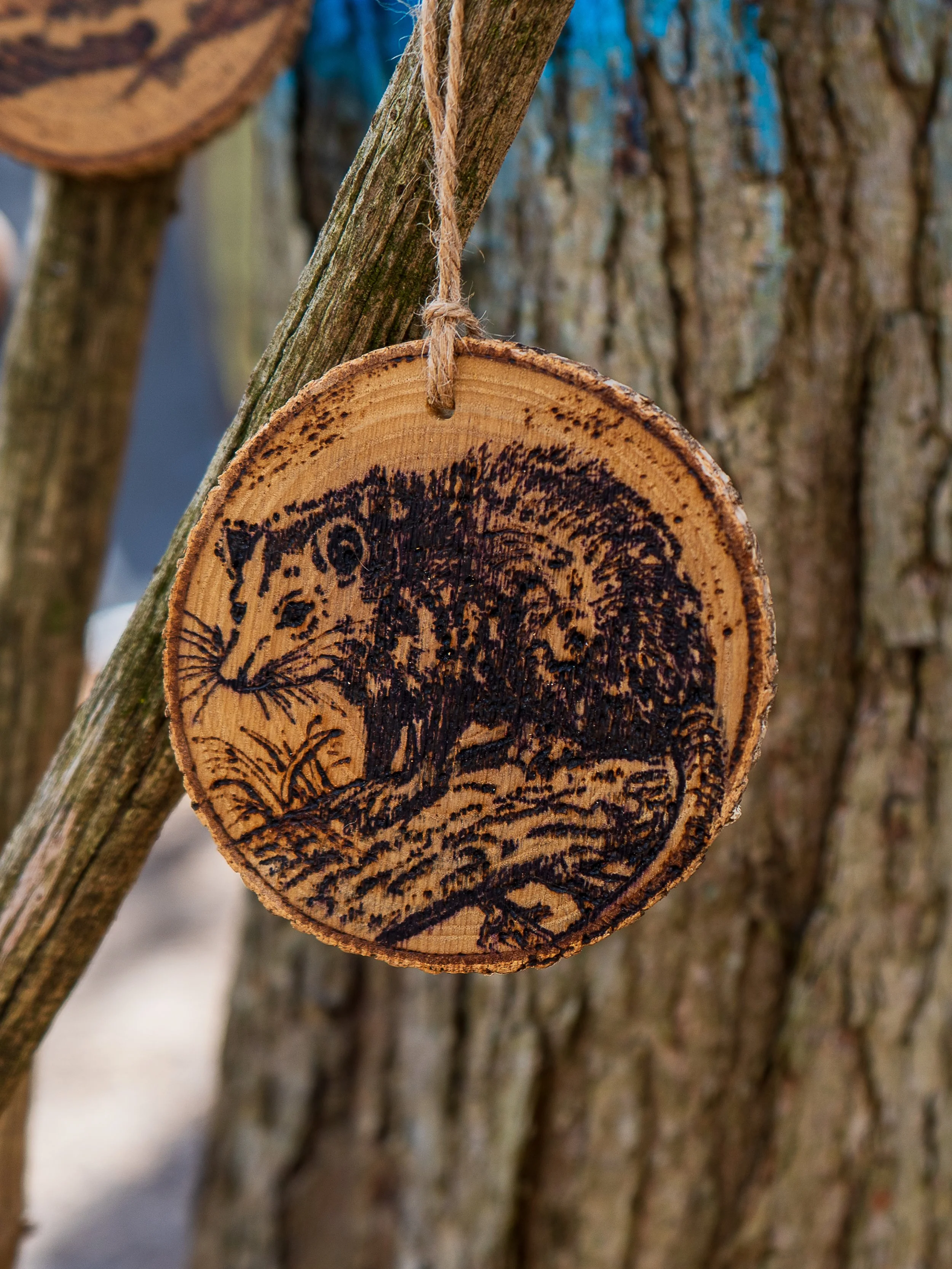 Open House-2026-MY-17.jpg