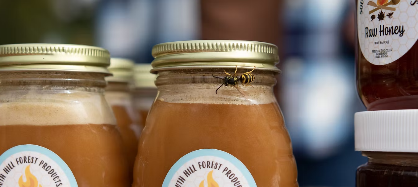 Honey.png