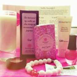 The Beautiful Spot Box Launch 2013