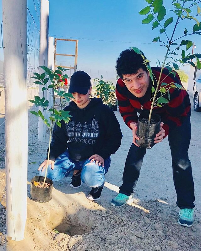 Ayer recibimos 50 arbolitos de nuestro gobierno. Estamos muy agradecidos con Dios, se ve hermoso!🌱🌿// Yesterday we received 50 trees from our government. We are so grateful to God, It looks beautiful! 🌱🌿