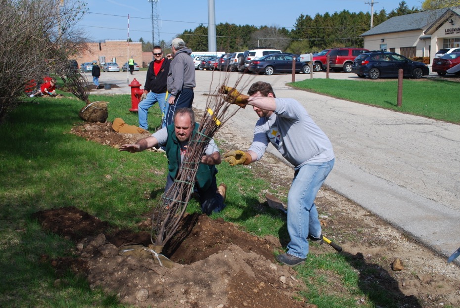 Rotarians Andy Moss and Chad Winterfield help to plant Red Bud Trees tress in the Mequon Town Center. Learn more here. 