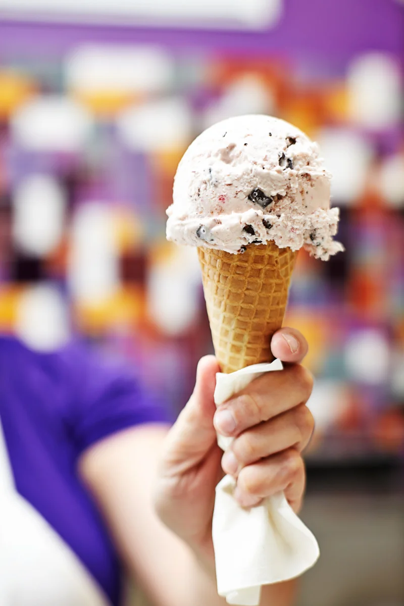 Purple_Door_Icecream_MG_0520e-w.jpg
