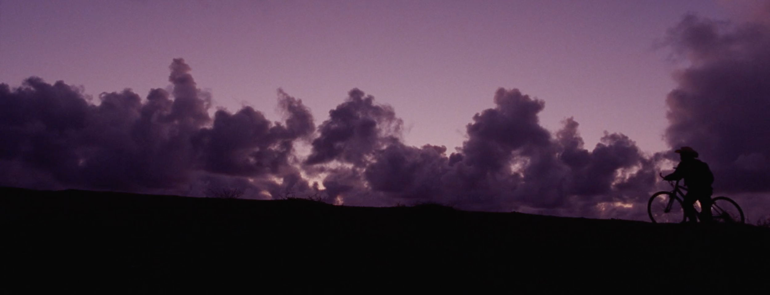 SOPHIA STIEGLITZ NARRATIVE REEL
