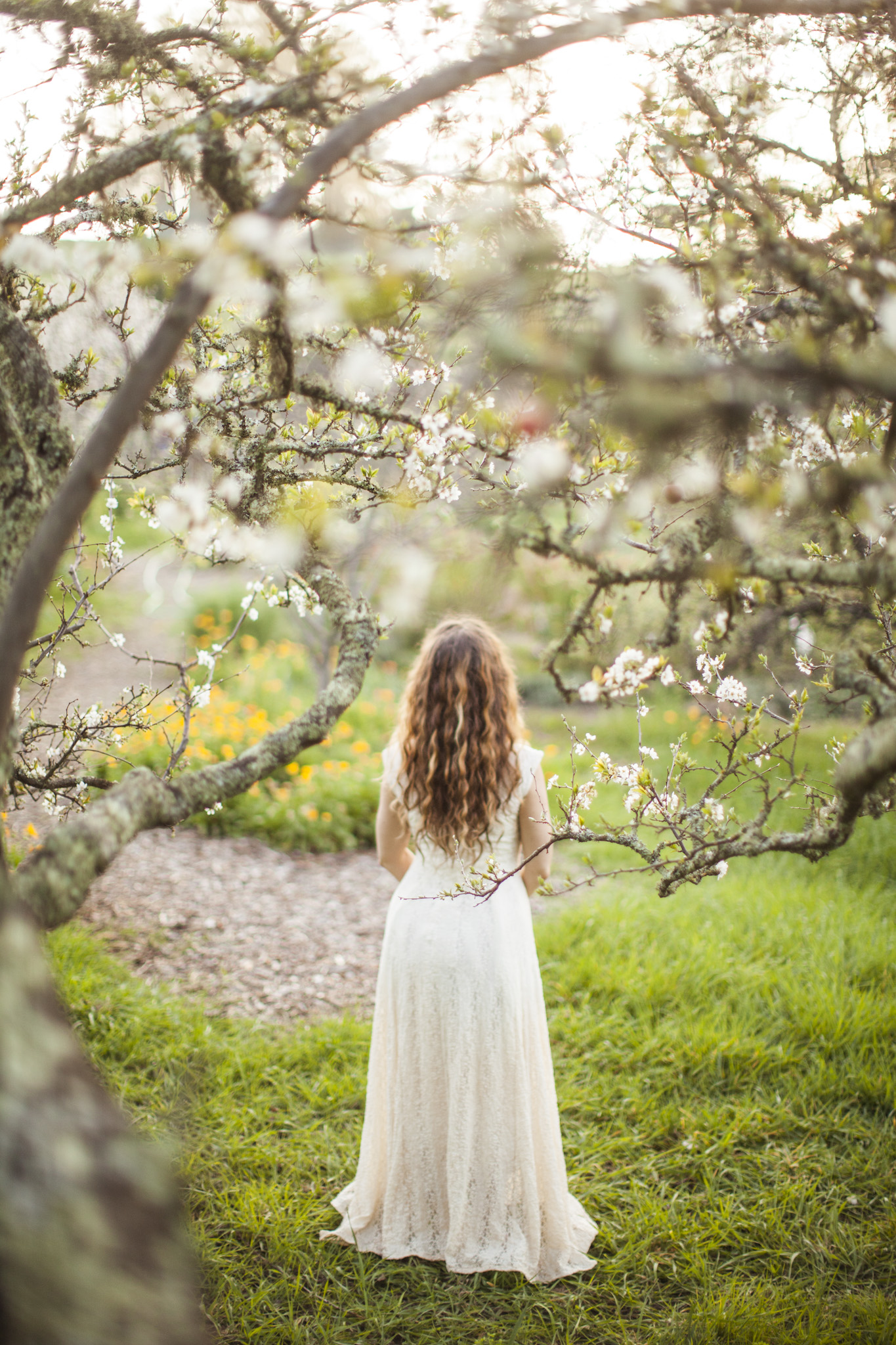 My Childhood Dreamland 