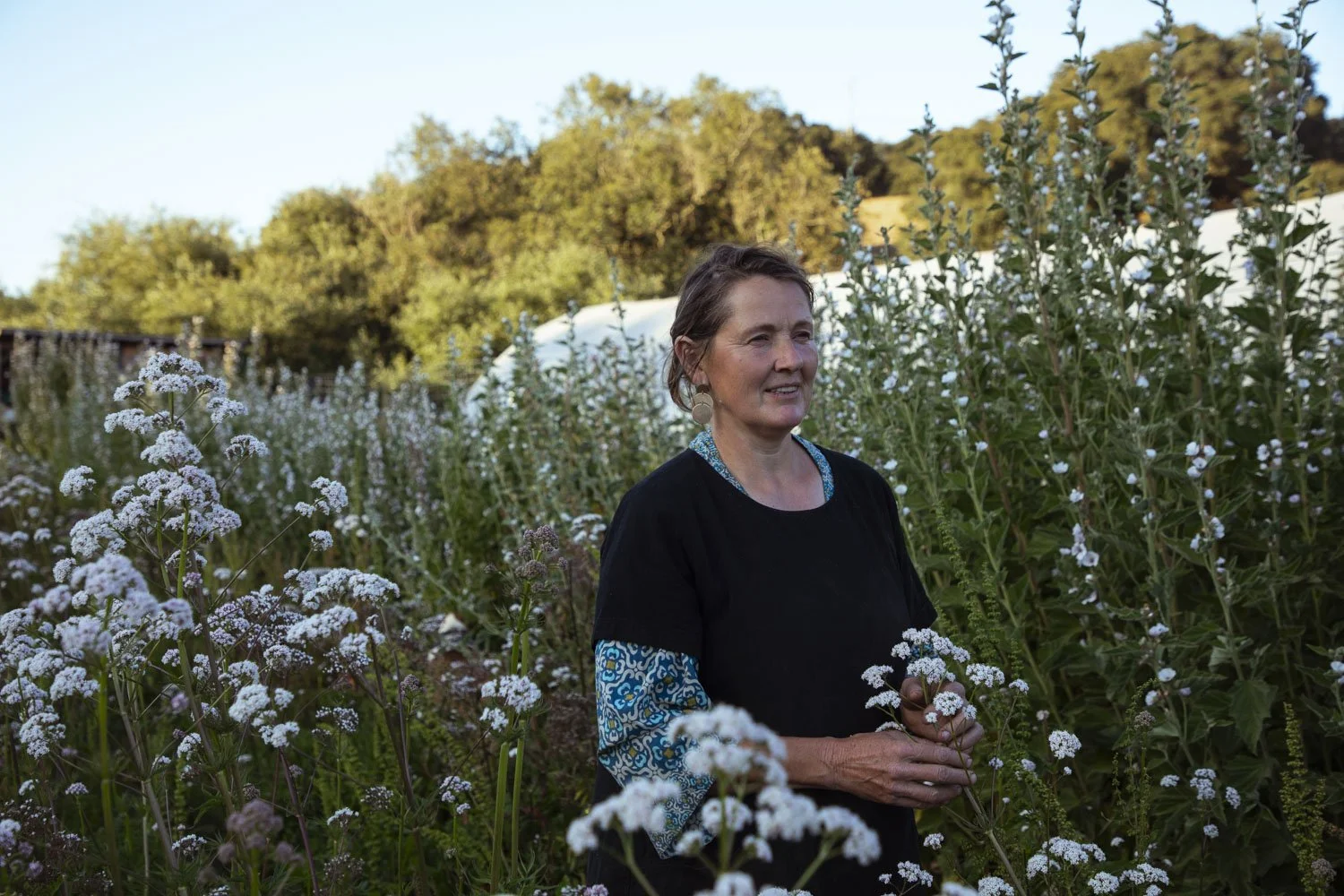 BlossomFarms_Magdalena_0_26.JPG