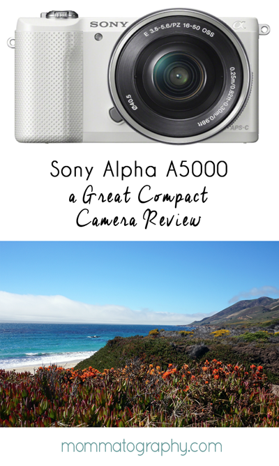 Sony Alpha a5000 Review