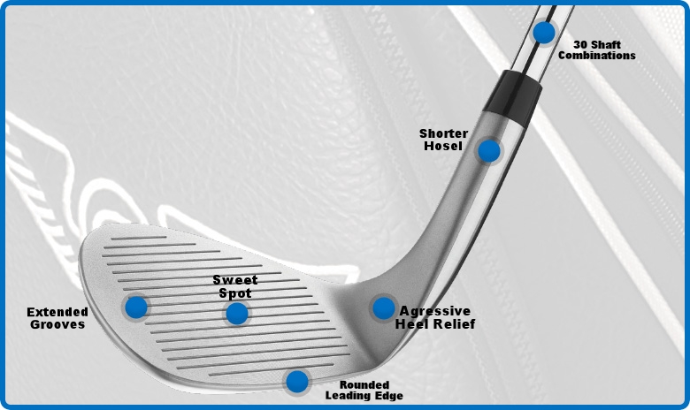 Edel Wedge Design and Technology