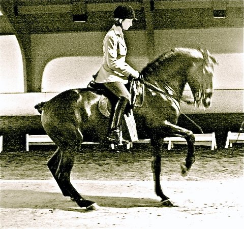 bettina and saltando.jpg