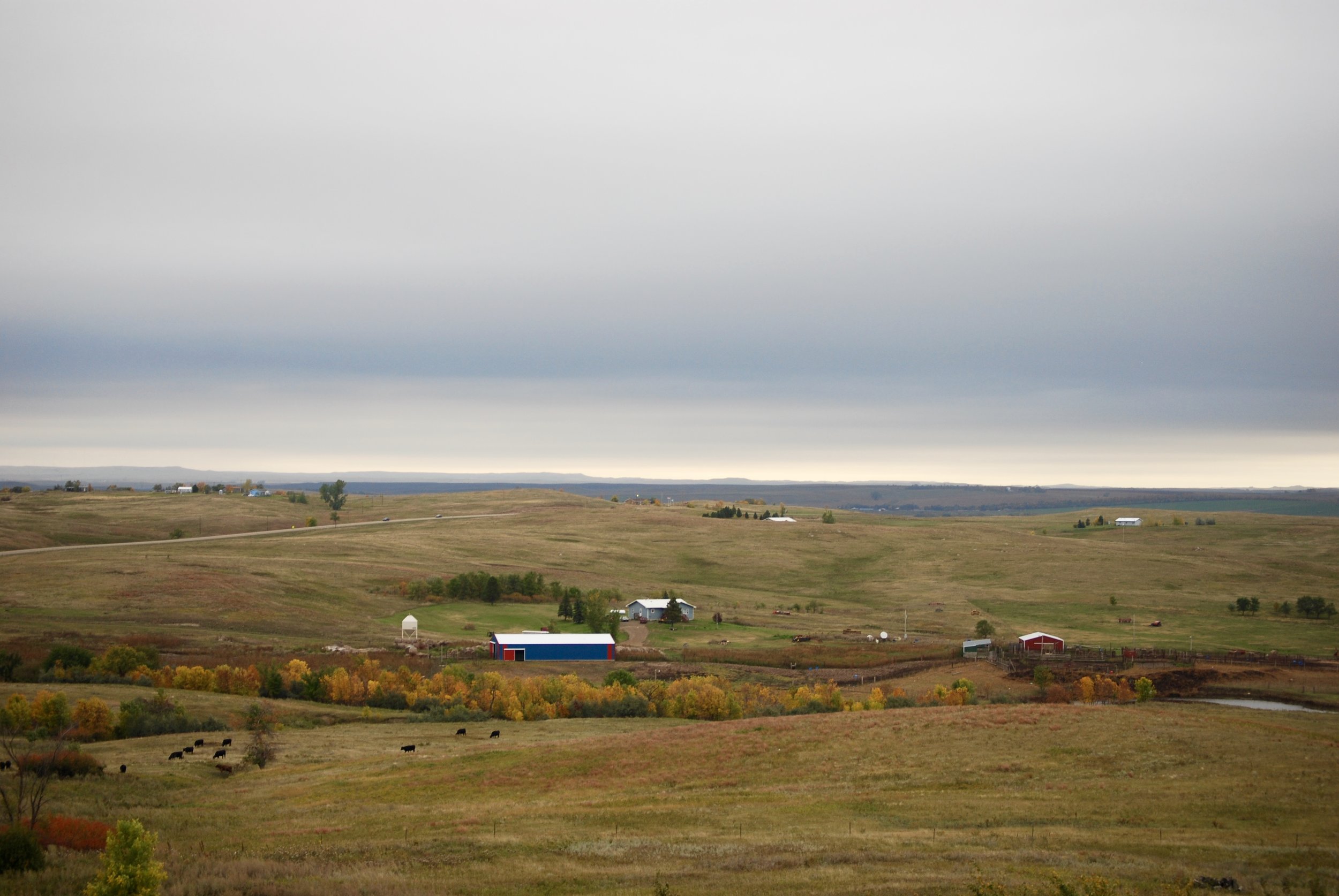 DSC_0457.jpg