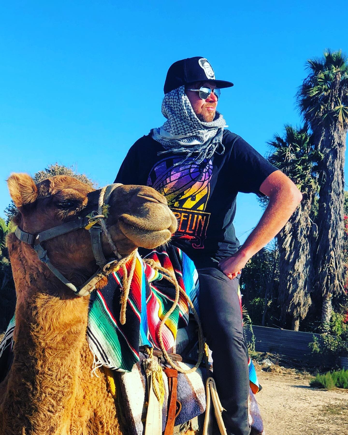 &ldquo;Yes my furry friend, the view does look marvelous from up here.&rdquo; 🐪
.
.
.
That view was of a shanty town trailer park and graffiti covered cinder block walls in northern Baja. I was with my brother, on camels, with all my best bros by ou