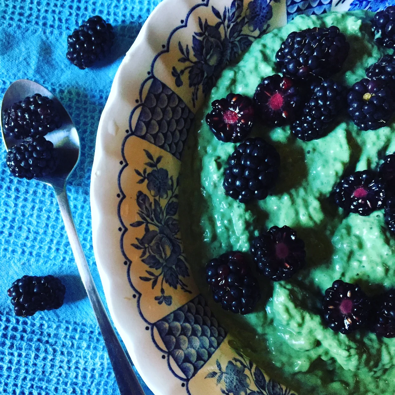 Summer of Chia Pudding