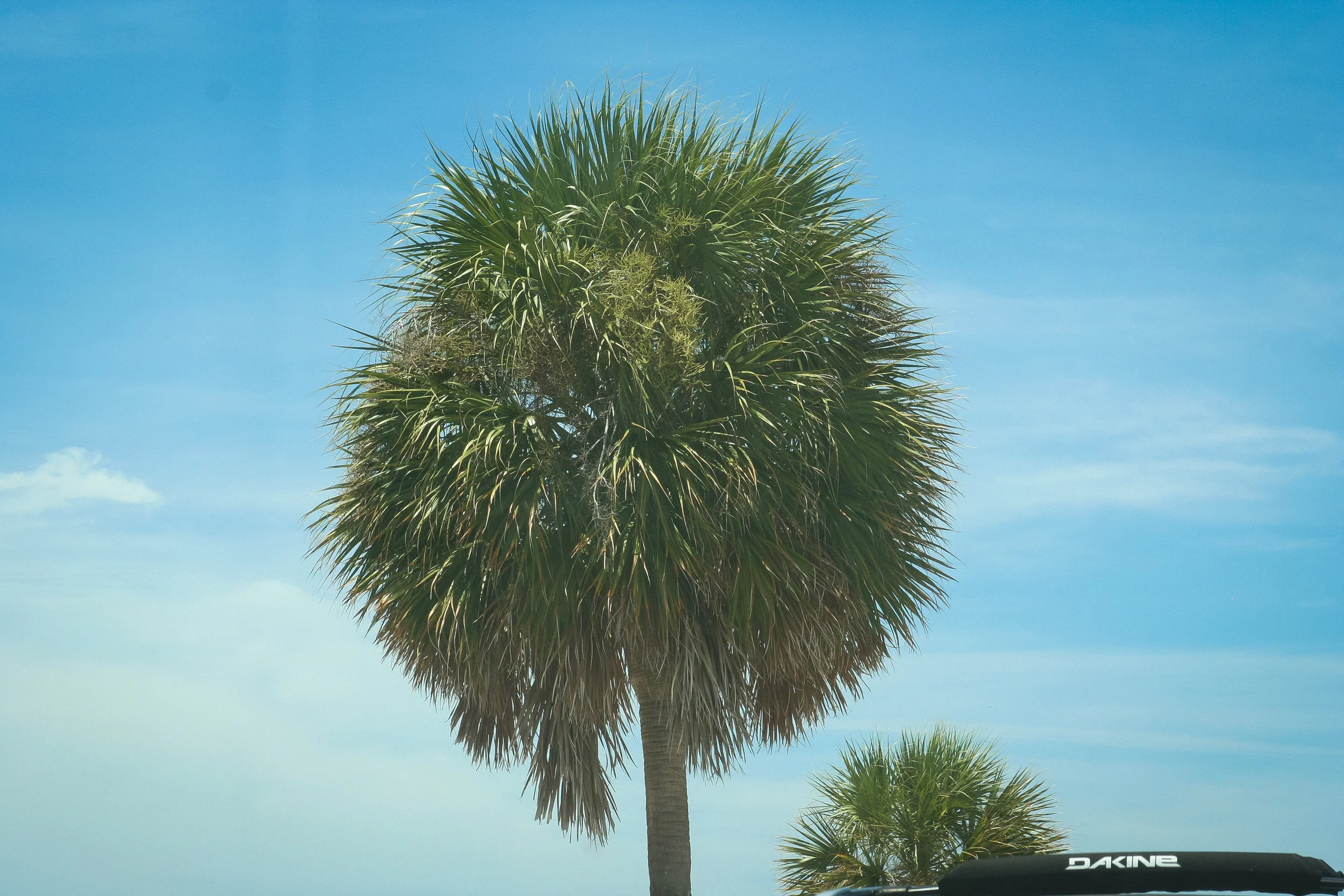 Fetishcon Trip-186.JPG