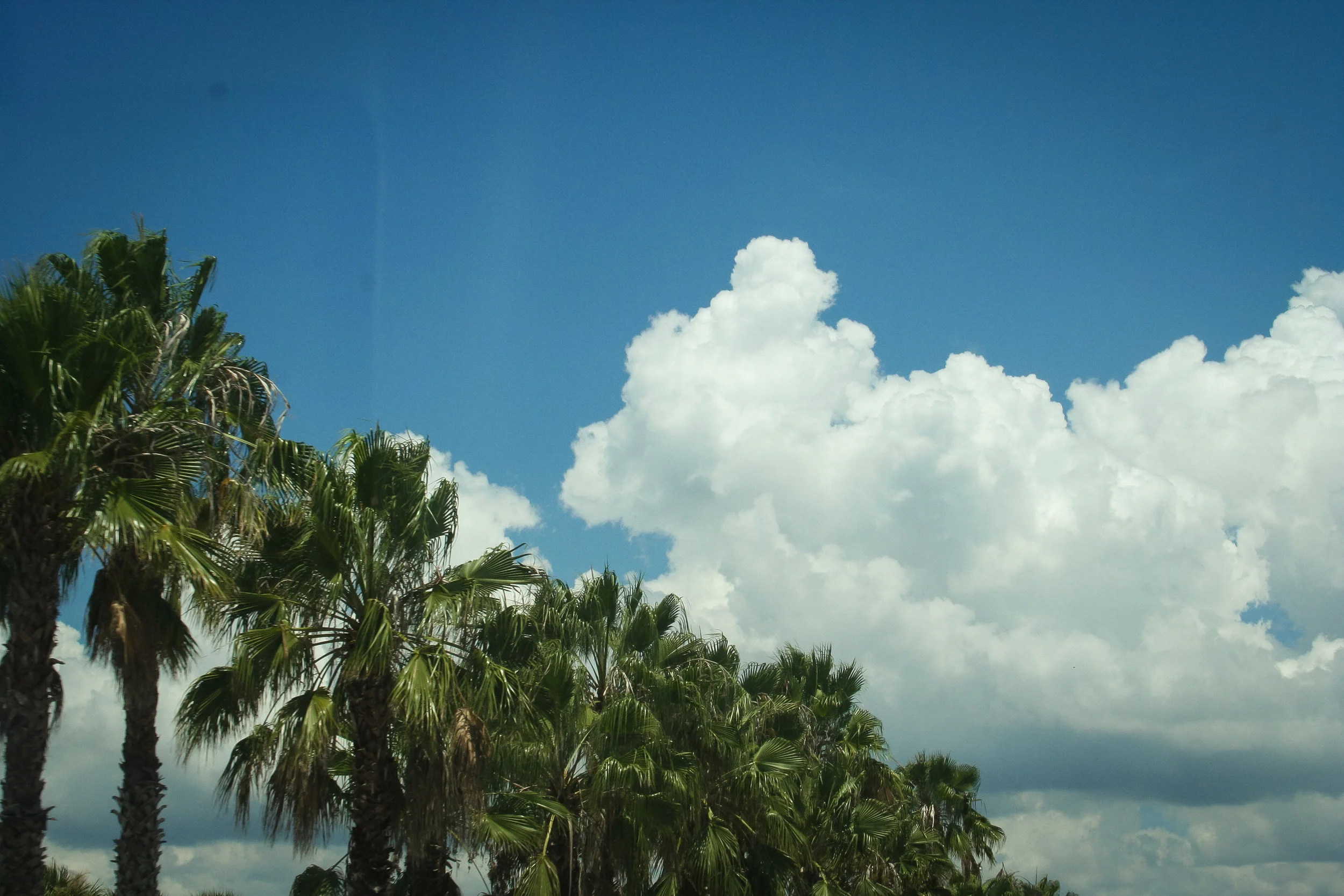 Fetishcon Trip-193.JPG