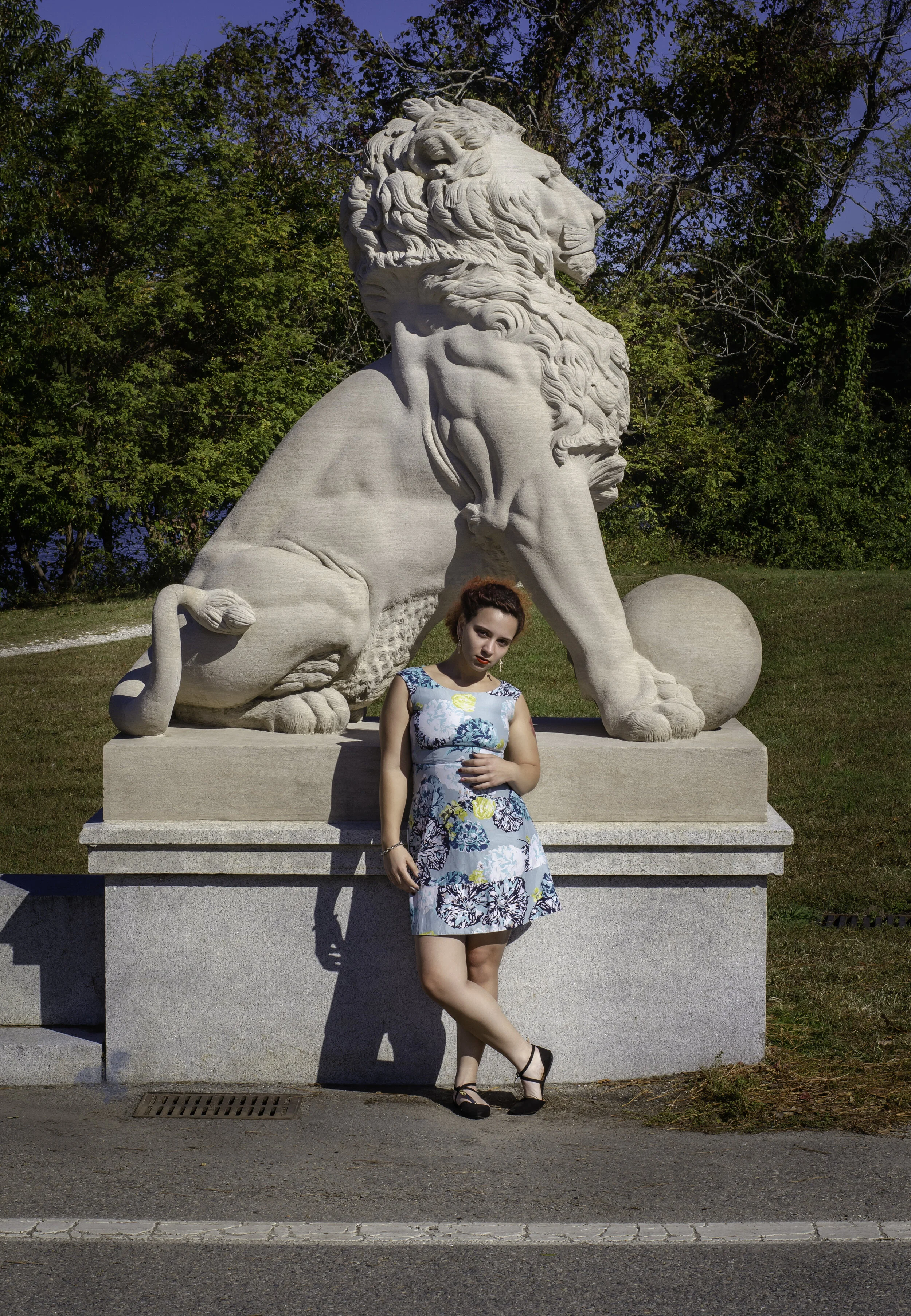 The Lion's Bridge.jpg