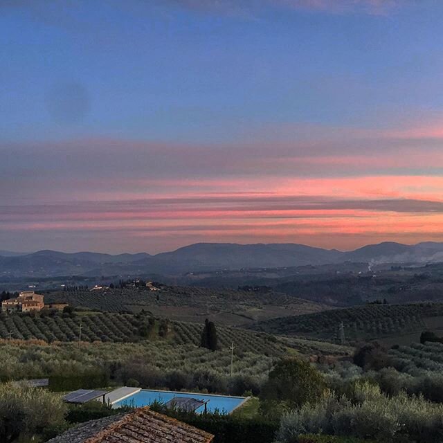 A very pretty pink sunset from Villa Monteoriolo! #villamonteoriolo #tuscany #toscana #chiantishire #sunset #olivestree #extravirginoliveoil