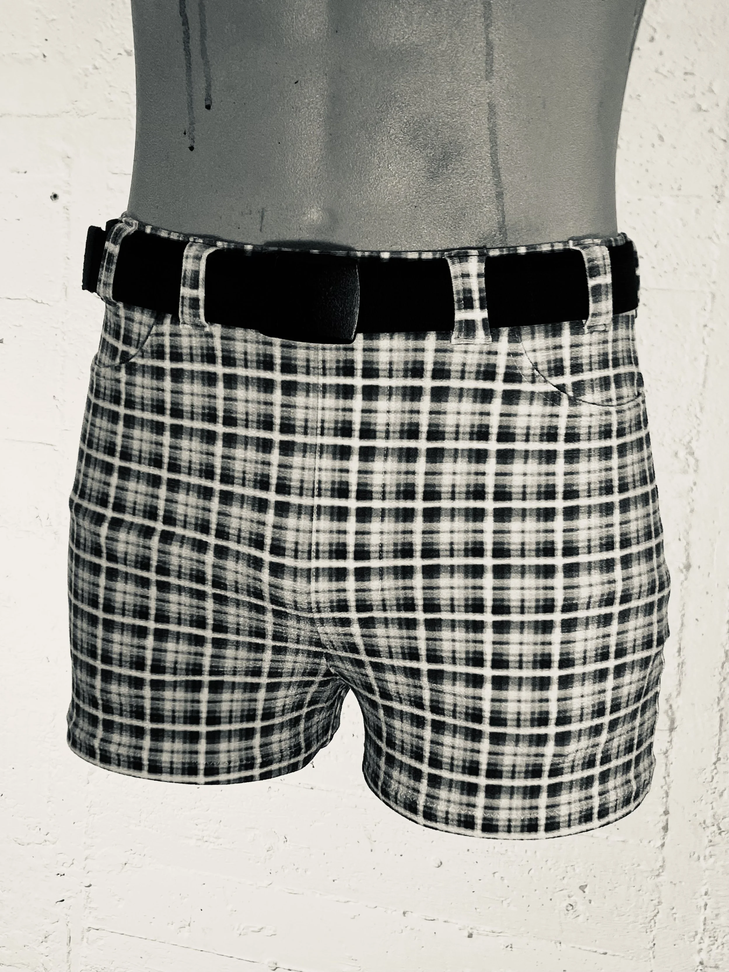 Trunks Front 1.jpeg