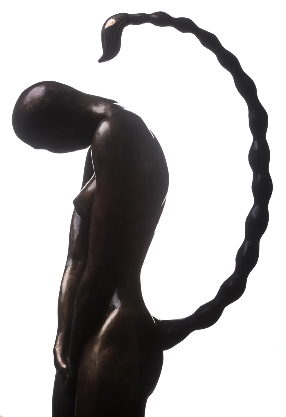 Venoma 2014 Bronze