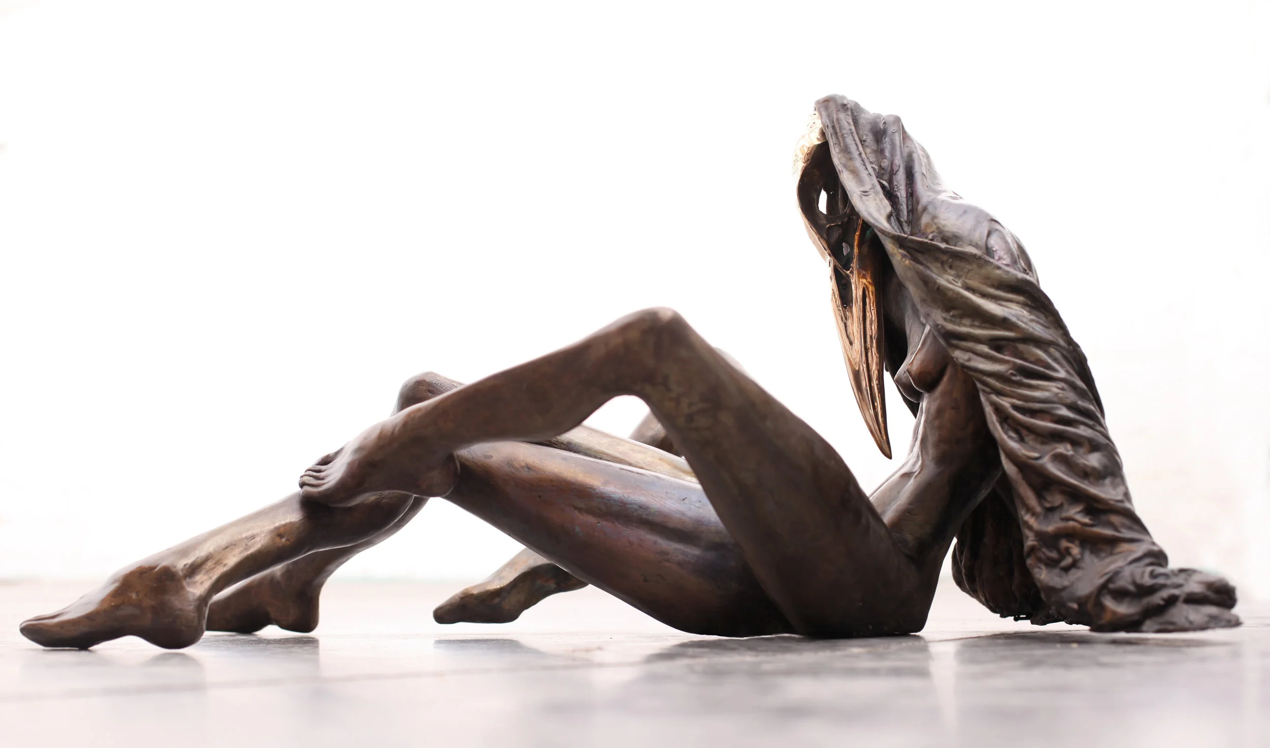 Cuckoo 2018 Bronze - Chen Ziv