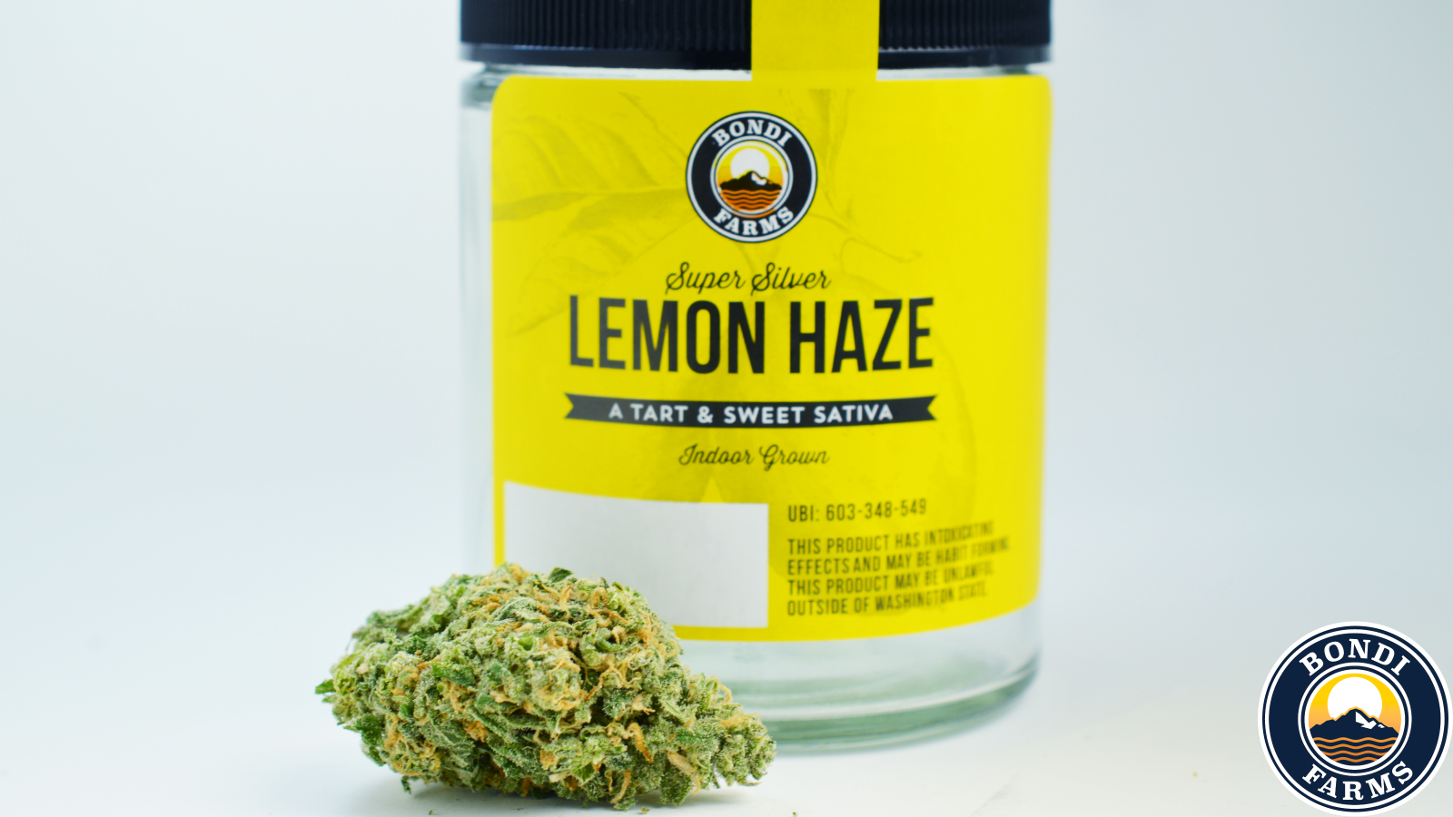 LEMONHAZE1.png