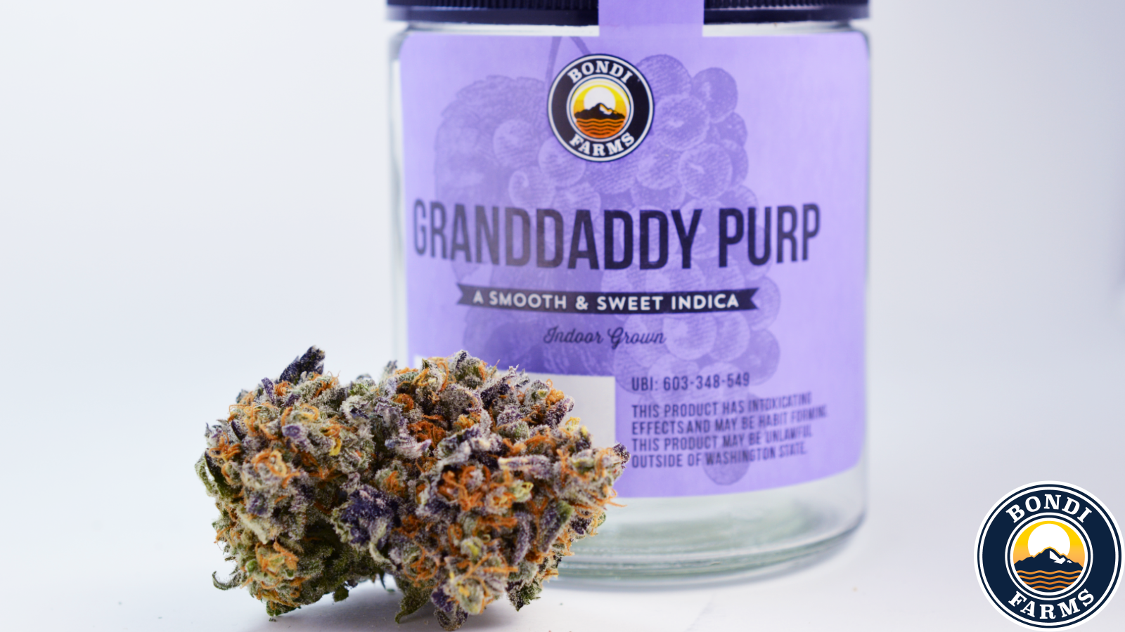 GRANDDADDYPURP1.png
