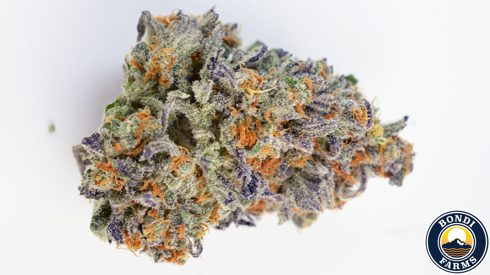 GRANDDADDYPURP3.png