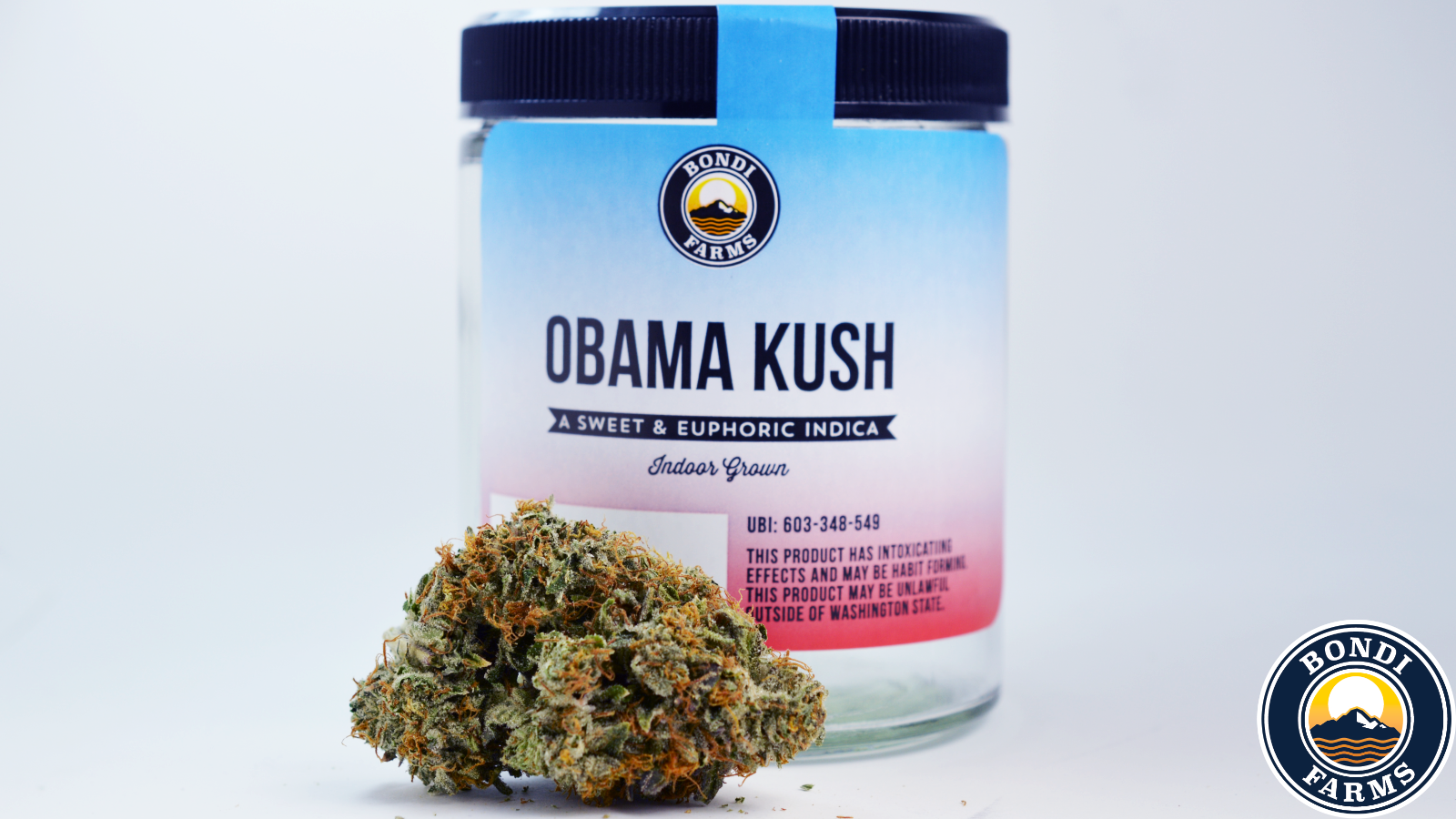 OBAMAKUSH.png