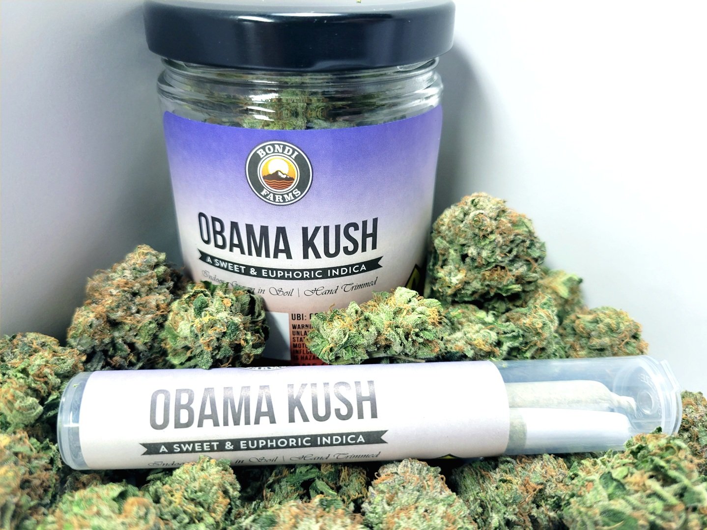 Obama+Kush.jpg