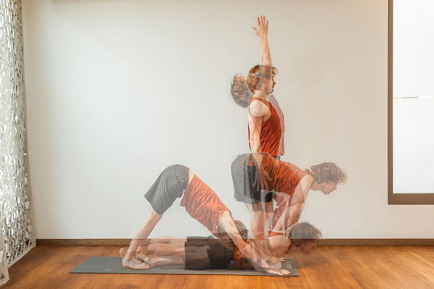 DS-Vinyasa.jpg