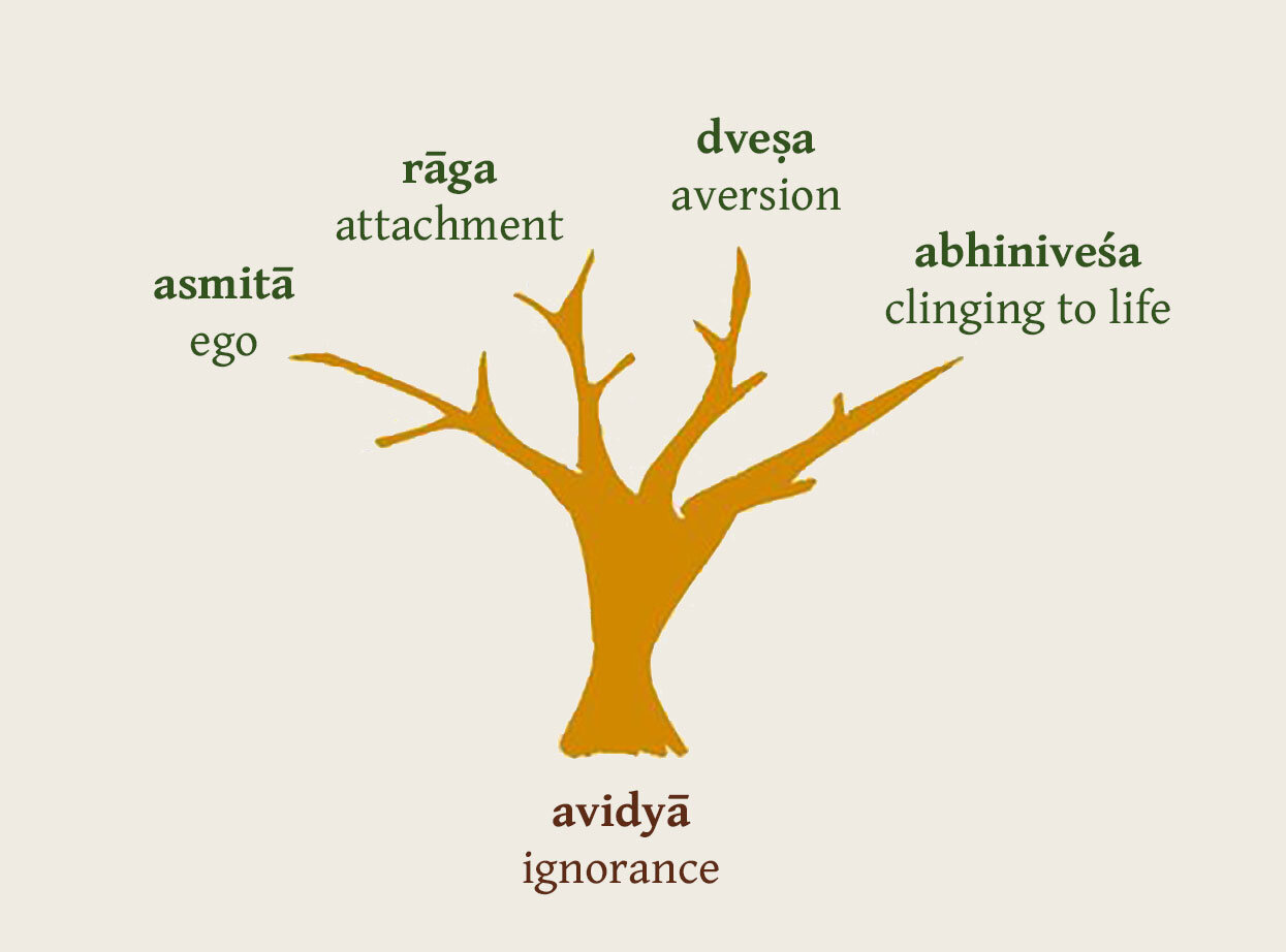 Edwin Bryant’s translation
