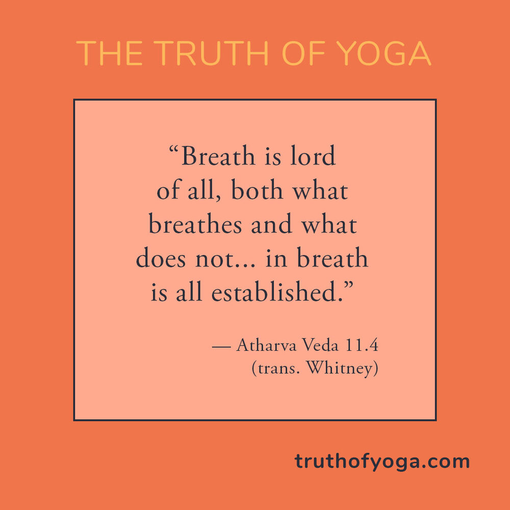  Yoga today is synonymous with postures. But for much of its history, the main physical practice was regulated breathing.   The importance of prana – depicted as a life force that animates everything – was described in the Vedas, India's oldest sacre