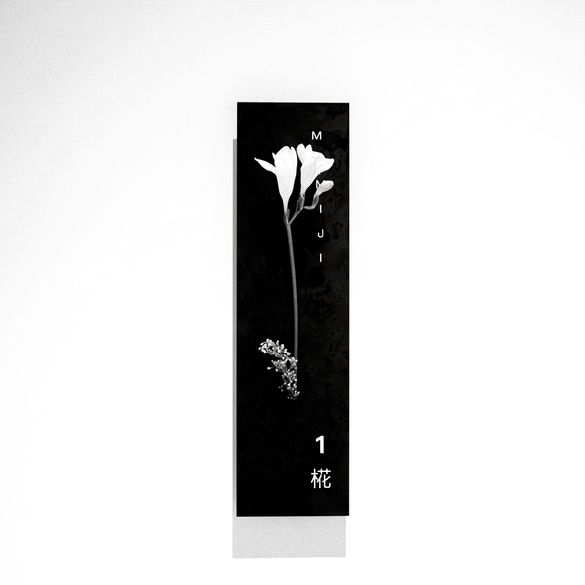 photo-11 copy.jpg