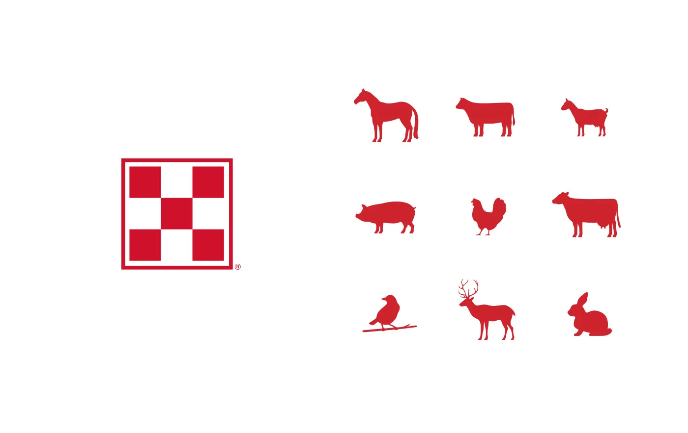 Purina_Brand_Book_10.jpg