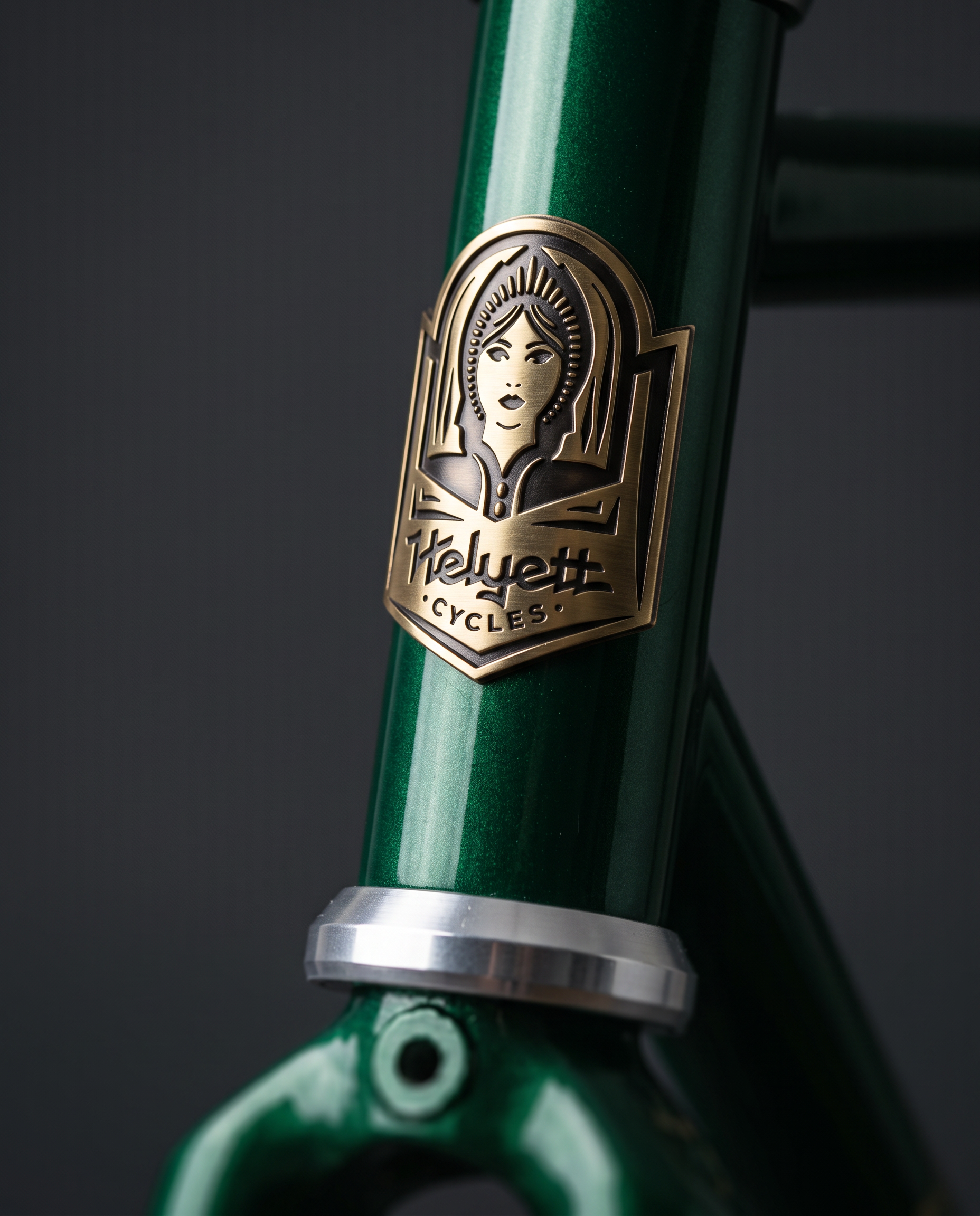 Helyett_Frame_Headbadge_Detail.png