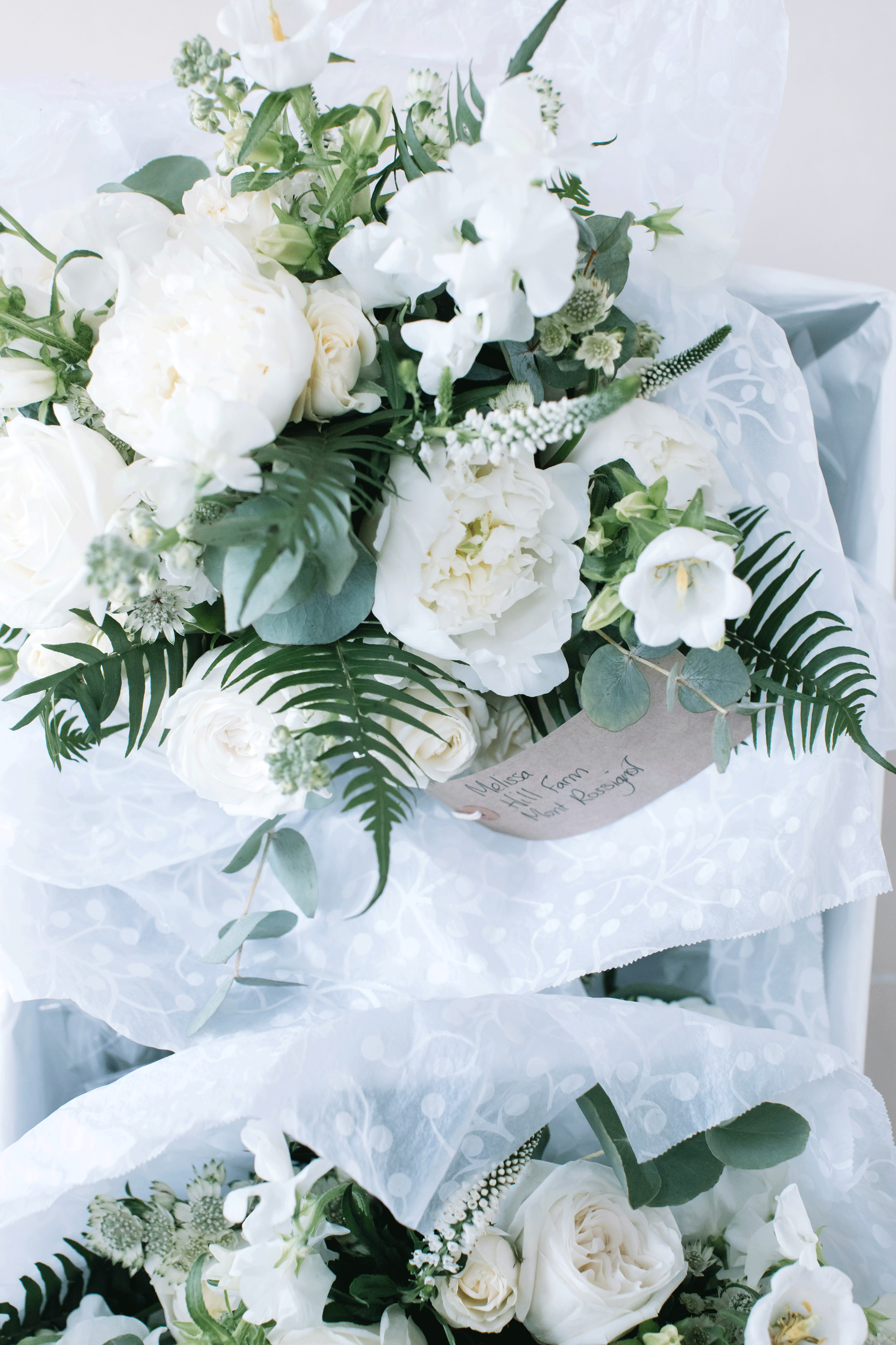 Melisa&Tom_0114_6288.gif