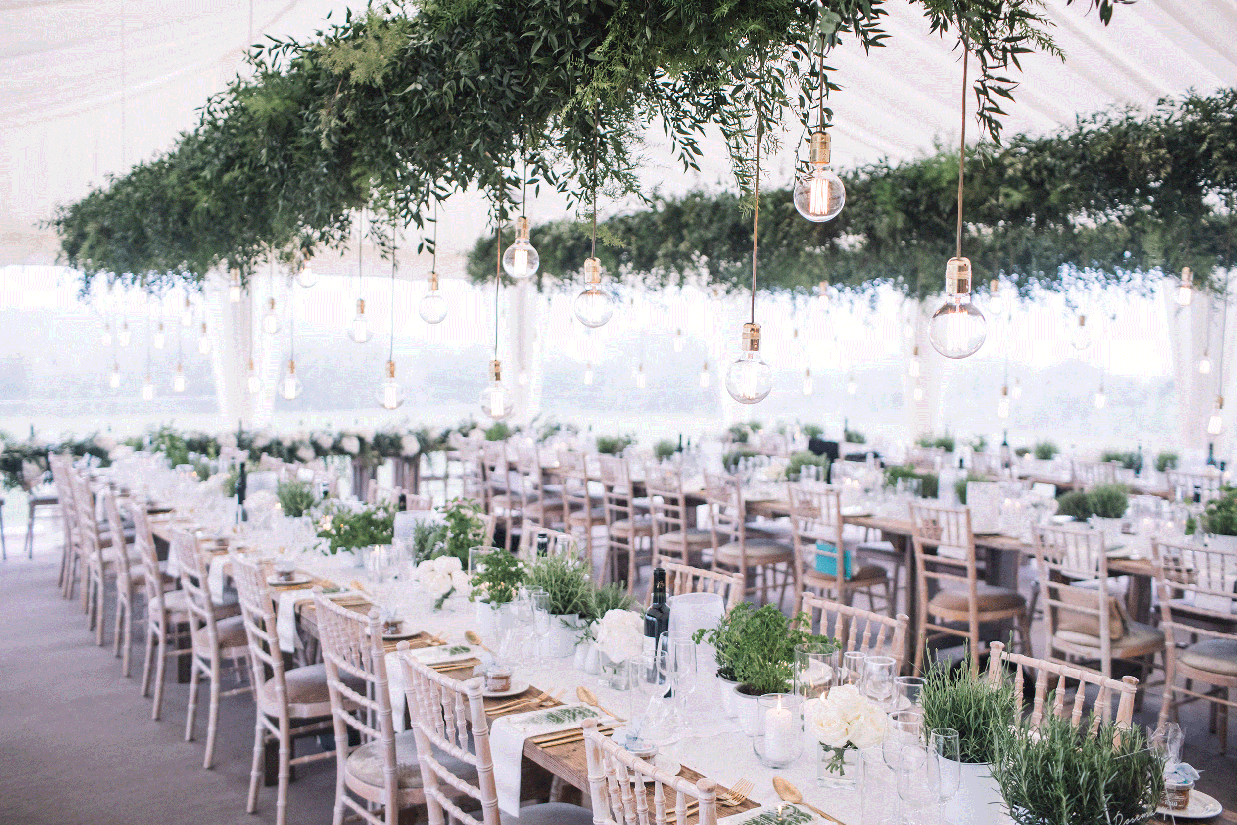 Melisa&Tom_0697_8282.gif