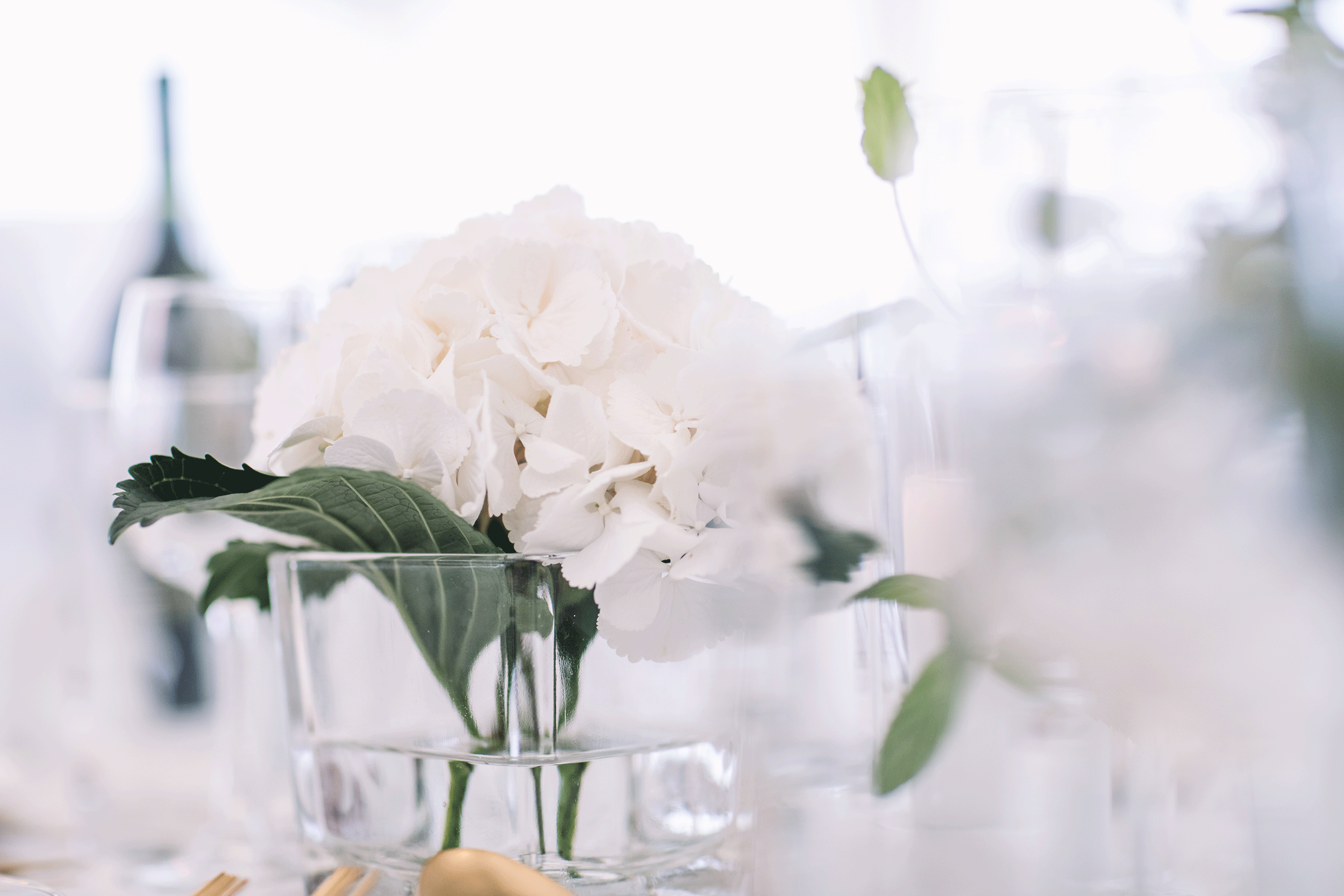 Melisa&Tom_0712_8311.gif