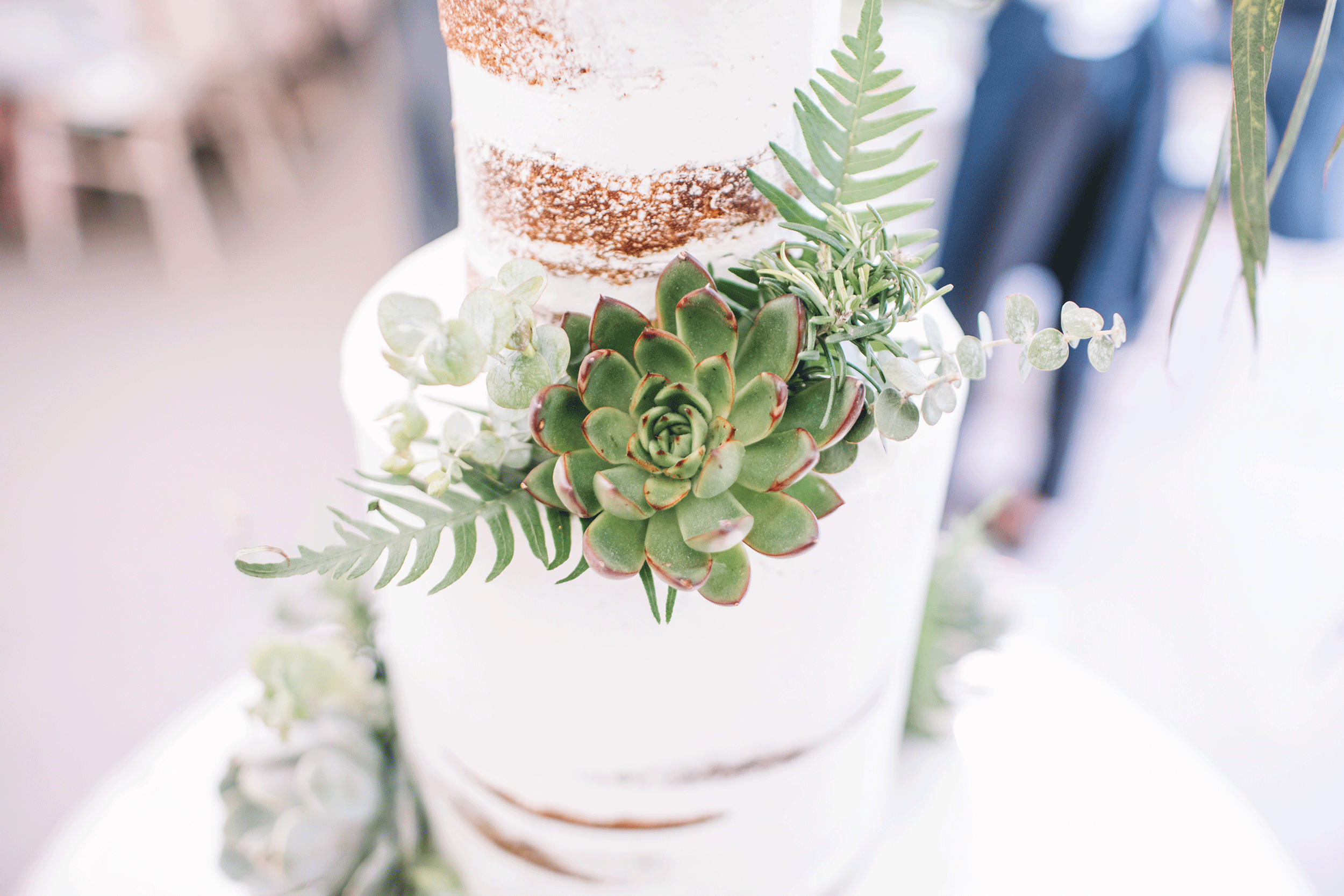 Melisa&Tom_0782_8516.gif