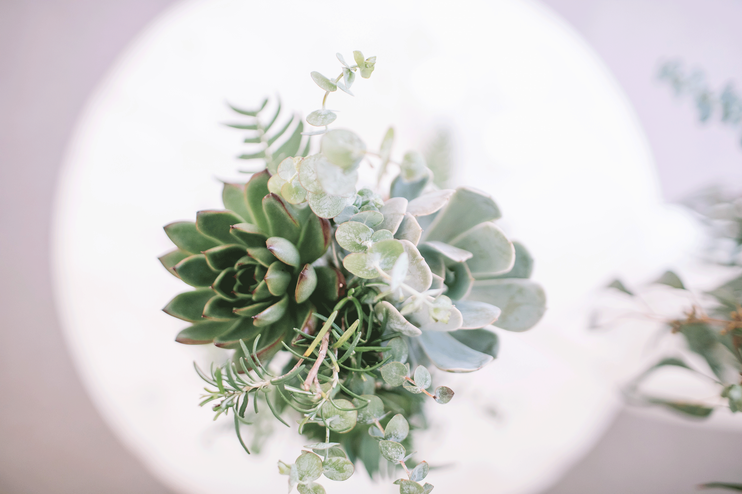 Melisa&Tom_0783_8518.gif