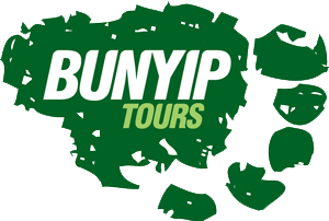 Melbourne Tours